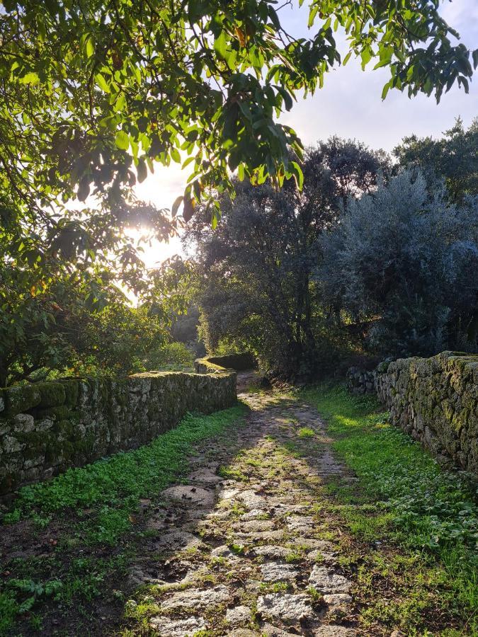 Quinta De Sao Pedro De Vir-A-Corca Em Monsanto Bed & Breakfast ภายนอก รูปภาพ