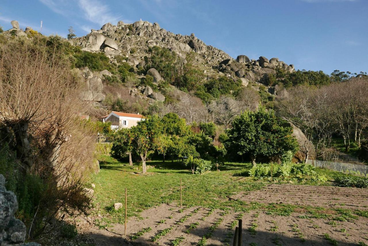 Quinta De Sao Pedro De Vir-A-Corca Em Monsanto Bed & Breakfast ภายนอก รูปภาพ